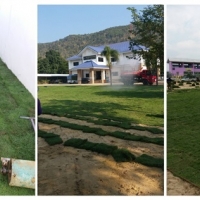 ร้านรับปูสนามหญ้า