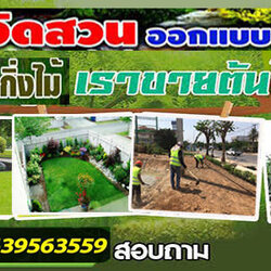 A88 ปลูกหญ้า คุณวิ