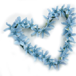 Eden Flower Design