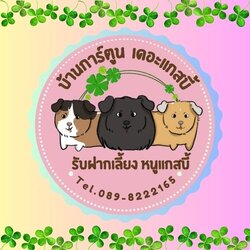 บ้านการ์ตูนเดอะแกสบี้