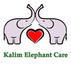 Elephant Care Phuket