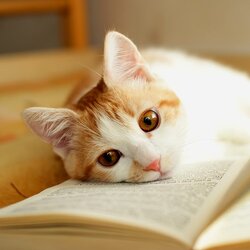 BooksVariety