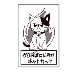 Hotto CAT