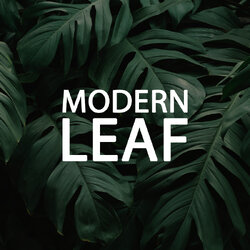 ต้นไม้ปลอมตกแต่งบ้าน Modern Leaf ต้นไม้ปลอมเสมือนจริง