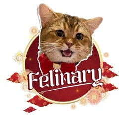 felinary shop
