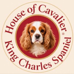 บ้านคาวาเลียร์ คิง ชาลส์ สแปเนียล House of Cavalier King Charles Spaniel