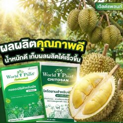 สามเกลอเวิลด์แพลนท์ช้อป