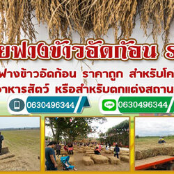 A110 ฟางอัดก้อน จ๊อด