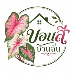 บอนสีบ้านฉัน
