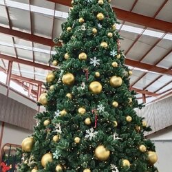 christmas888