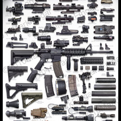 Pleredfield_Shop