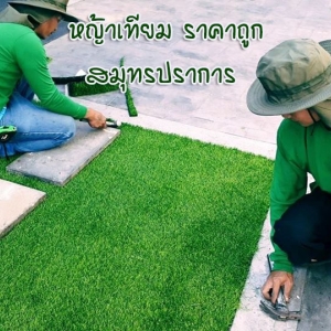 ร้านหญ้าเทียม ราคาถูก รับปูหญ้าเทียม