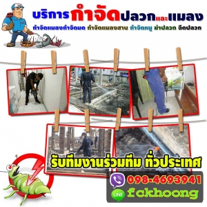 ร้านบริษัทฉีดปลวก กำจัดแมลง