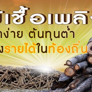 ร้านรับซื้อไม้เชื้อเพลิง