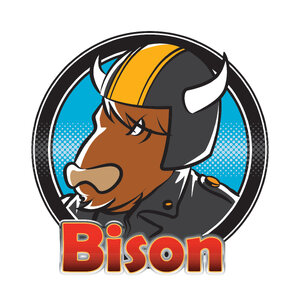 ร้านBisonAutopart
