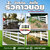 ร้านรับติดตั้งรั้วคาวบอย ร้านรับติดตั้งรั้วคาวบอย
